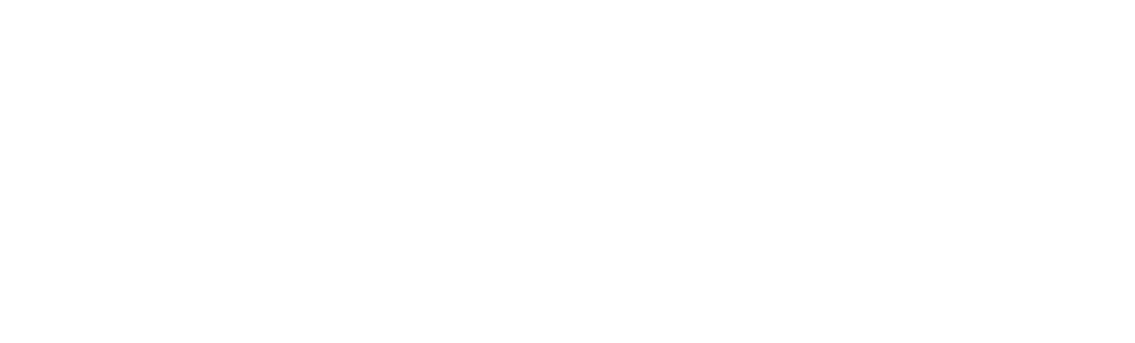 Логотип полезной нагрузки дрона