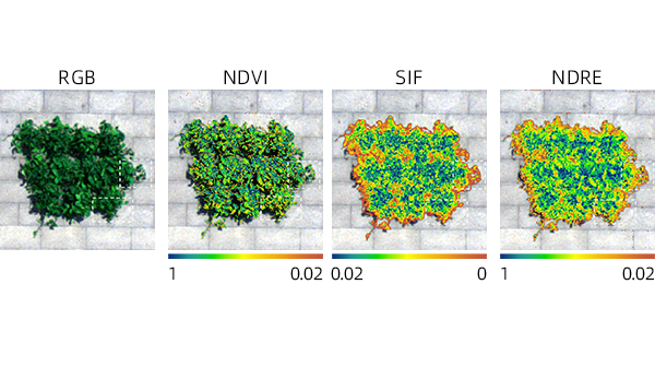 Мультиспектральная камера Исследование фенотипирования растительности