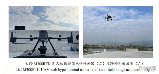 caméra hyperspectrale pour l'identification des espèces d'arbres